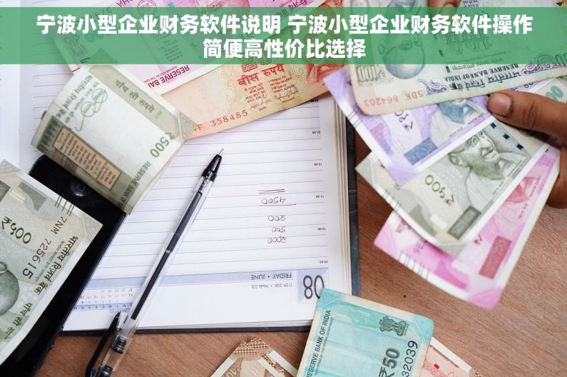 宁波小型企业财务软件说明 宁波小型企业财务软件操作简便高性价比选择