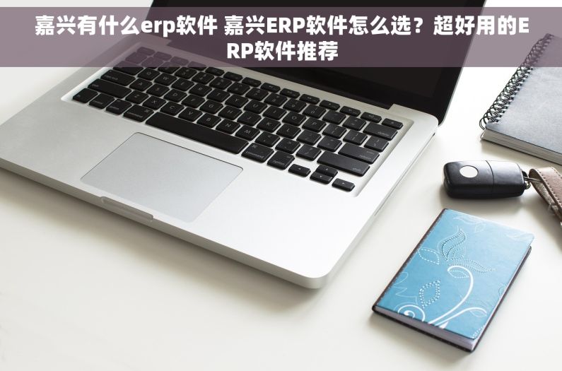 嘉兴有什么erp软件 嘉兴ERP软件怎么选？超好用的ERP软件推荐