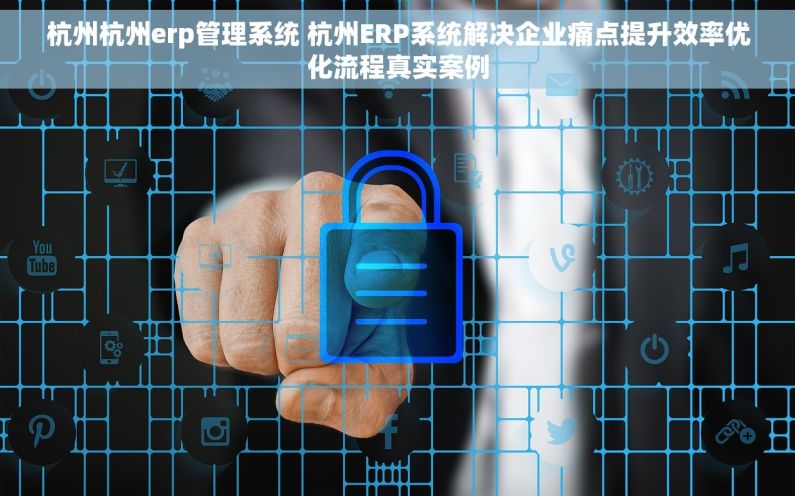 杭州杭州erp管理系统 杭州ERP系统解决企业痛点提升效率优化流程真实案例