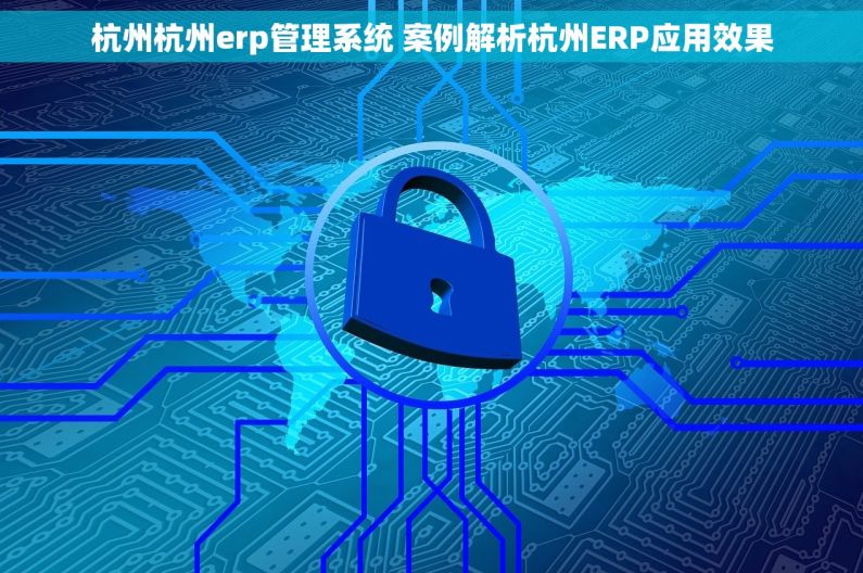 杭州杭州erp管理系统 案例解析杭州ERP应用效果