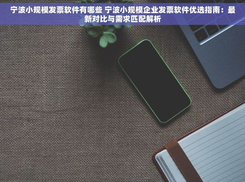 宁波小规模发票软件有哪些 宁波小规模企业发票软件优选指南：最新对比与需求匹配解析