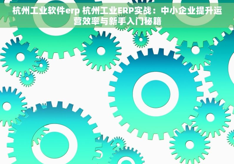 杭州工业软件erp 杭州工业ERP实战：中小企业提升运营效率与新手入门秘籍