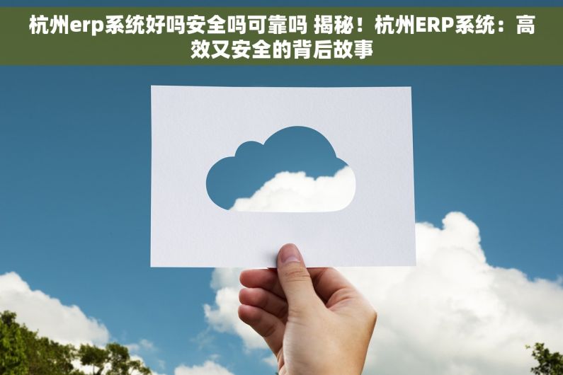 杭州erp系统好吗安全吗可靠吗 揭秘！杭州ERP系统：高效又安全的背后故事