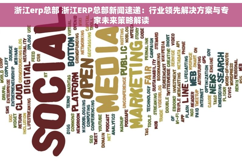 浙江erp总部 浙江ERP总部新闻速递：行业领先解决方案与专家未来策略解读