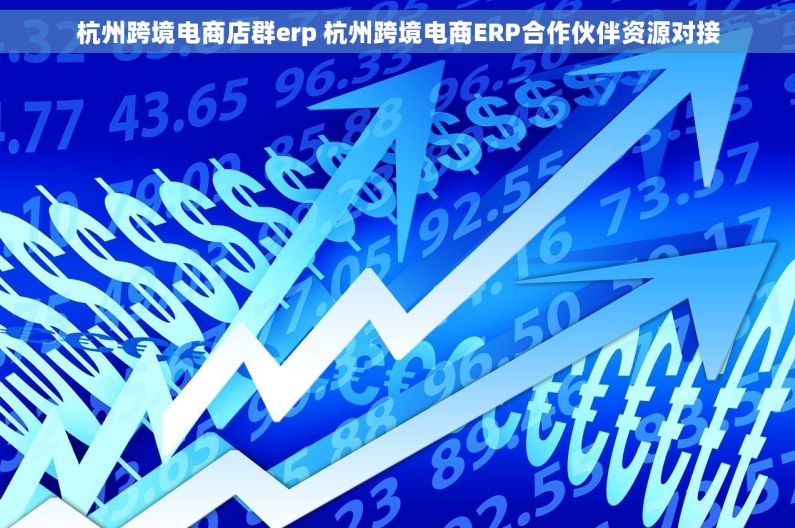 杭州跨境电商店群erp 杭州跨境电商ERP合作伙伴资源对接