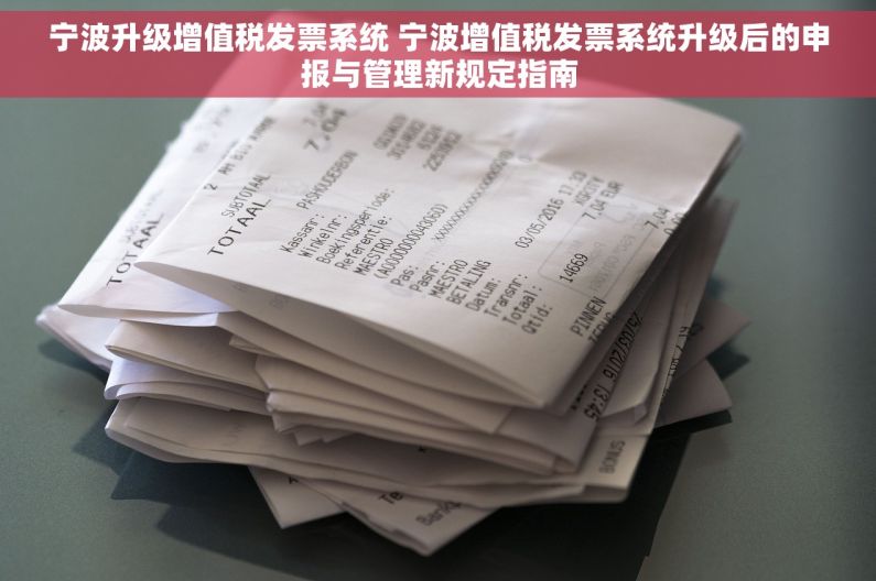 宁波升级增值税发票系统 宁波增值税发票系统升级后的申报与管理新规定指南