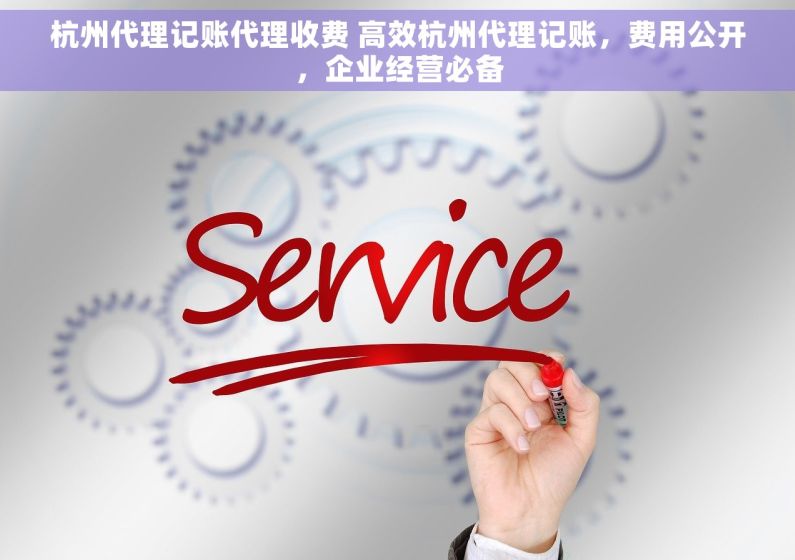 杭州代理记账代理收费 高效杭州代理记账，费用公开，企业经营必备