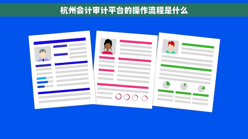 杭州会计审计平台的操作流程是什么