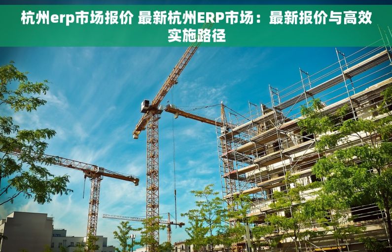 杭州erp市场报价 最新杭州ERP市场：最新报价与高效实施路径