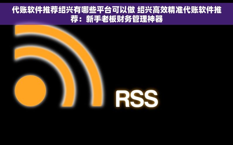 代账软件推荐绍兴有哪些平台可以做 绍兴高效精准代账软件推荐：新手老板财务管理神器