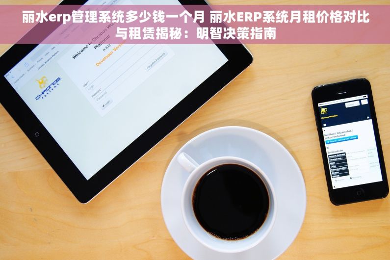 丽水erp管理系统多少钱一个月 丽水ERP系统月租价格对比与租赁揭秘：明智决策指南
