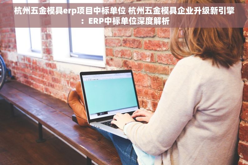 杭州五金模具erp项目中标单位 杭州五金模具企业升级新引擎：ERP中标单位深度解析