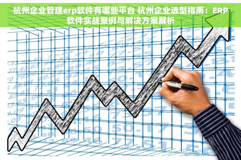 杭州企业管理erp软件有哪些平台 杭州企业选型指南：ERP软件实战案例与解决方案解析