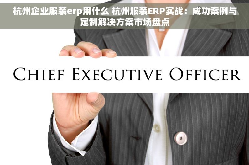 杭州企业服装erp用什么 杭州服装ERP实战：成功案例与定制解决方案市场盘点