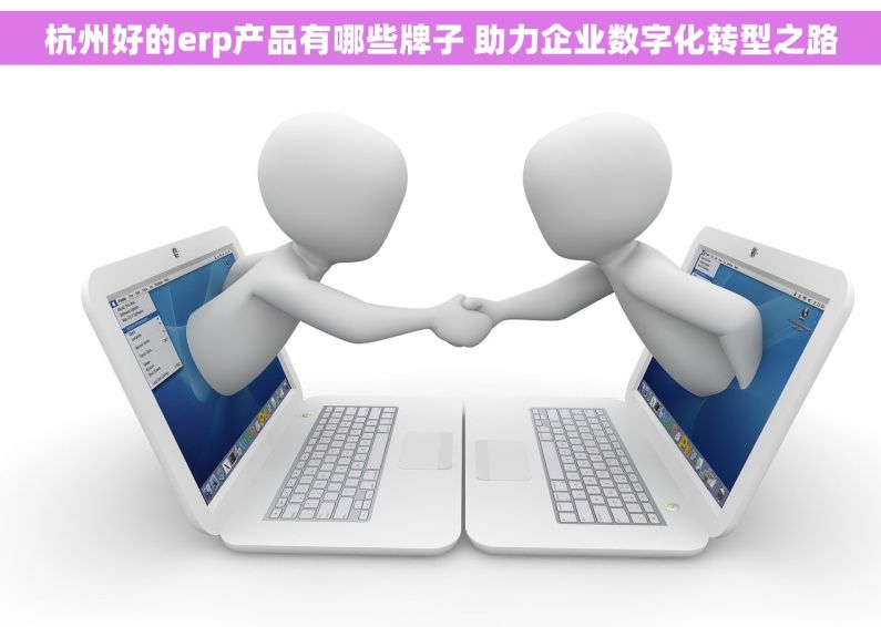 杭州好的erp产品有哪些牌子 助力企业数字化转型之路