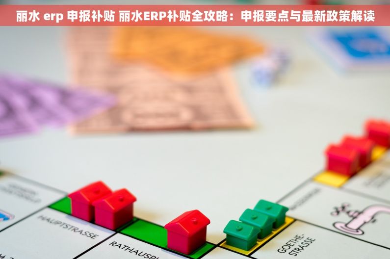 丽水 erp 申报补贴 丽水ERP补贴全攻略：申报要点与最新政策解读