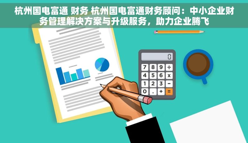 杭州国电富通 财务 杭州国电富通财务顾问：中小企业财务管理解决方案与升级服务，助力企业腾飞