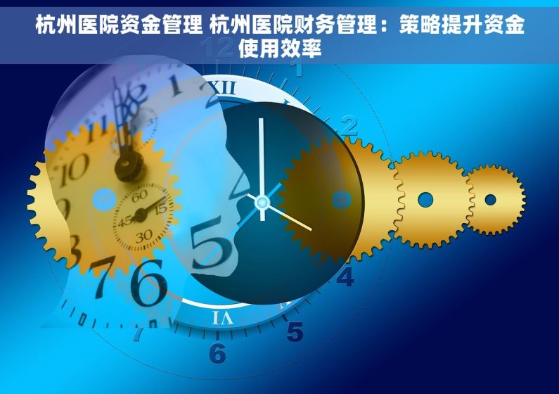 杭州医院资金管理 杭州医院财务管理：策略提升资金使用效率