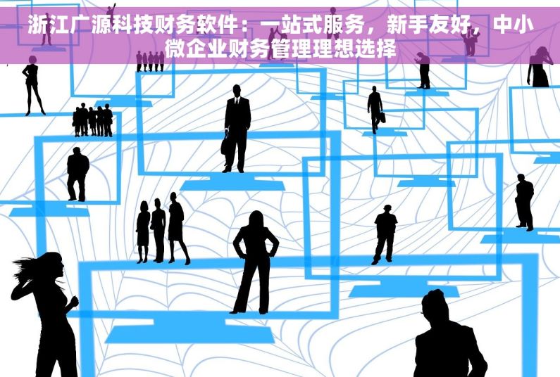 浙江广源科技财务软件：一站式服务，新手友好，中小微企业财务管理理想选择