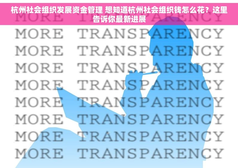 杭州社会组织发展资金管理 想知道杭州社会组织钱怎么花？这里告诉你最新进展