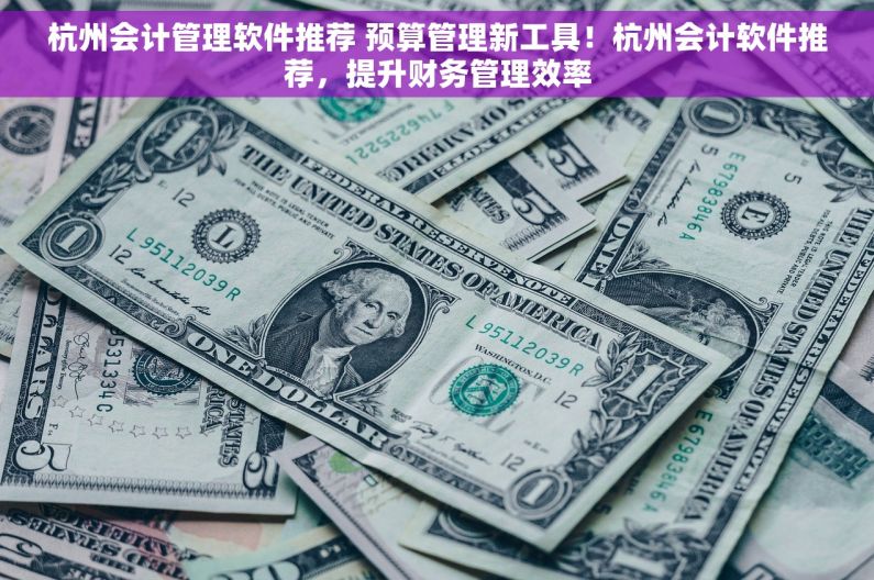 杭州会计管理软件推荐 预算管理新工具！杭州会计软件推荐，提升财务管理效率