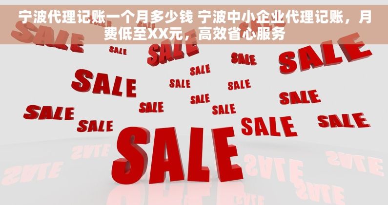 宁波代理记账一个月多少钱 宁波中小企业代理记账，月费低至XX元，高效省心服务