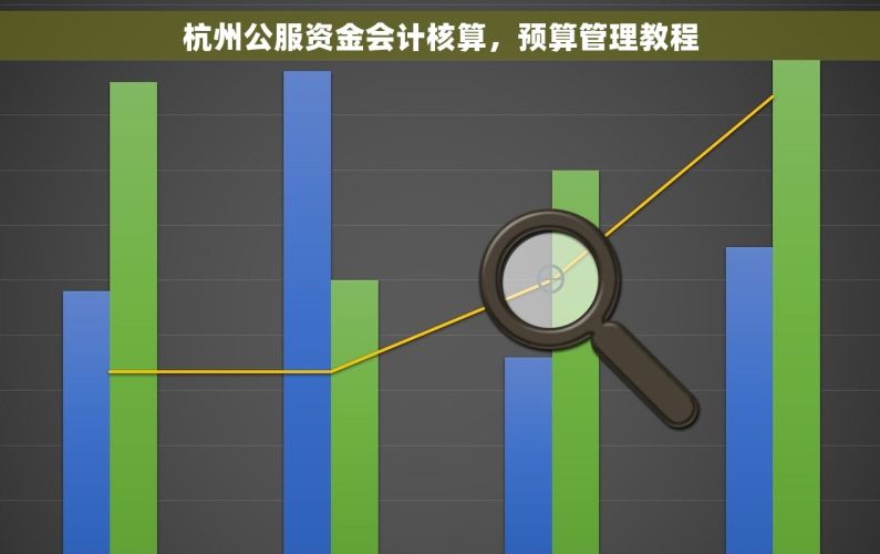 杭州公服资金会计核算，预算管理教程