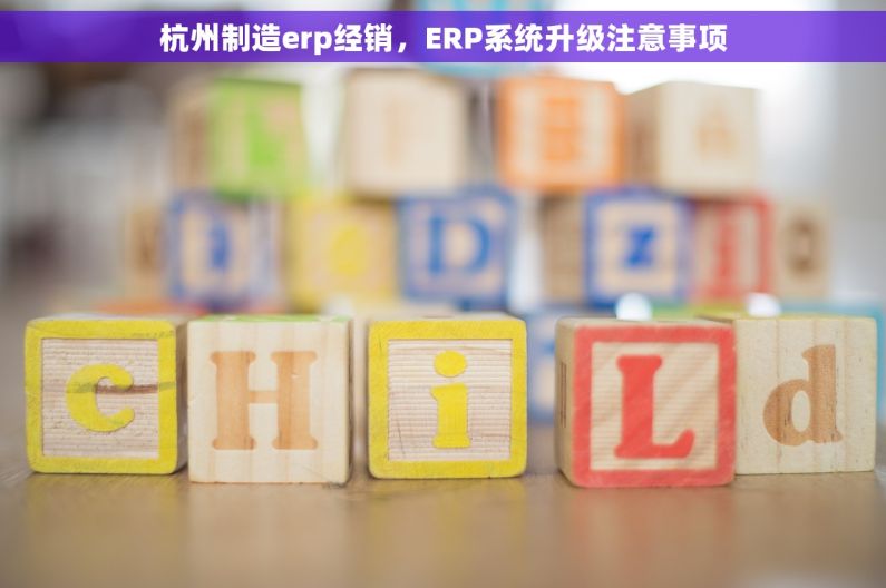 杭州制造erp经销，ERP系统升级注意事项