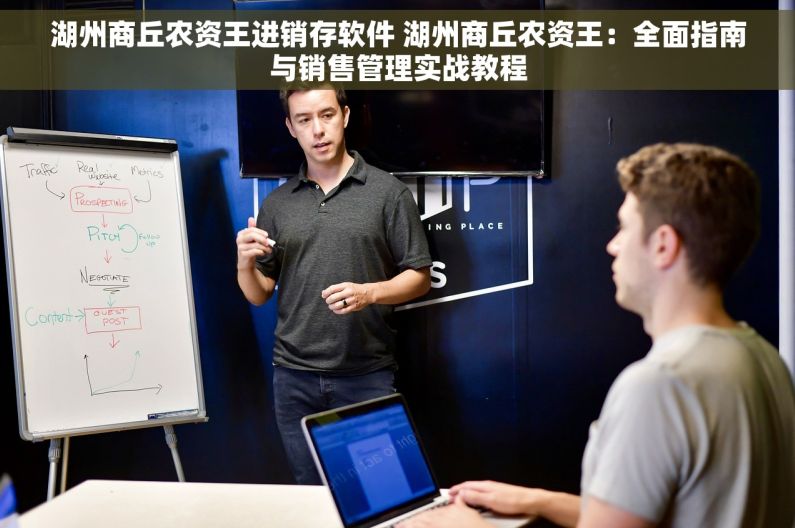 湖州商丘农资王进销存软件 湖州商丘农资王：全面指南与销售管理实战教程