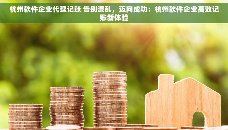 杭州软件企业代理记账 告别混乱，迈向成功：杭州软件企业高效记账新体验