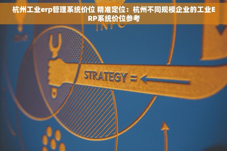 杭州工业erp管理系统价位 精准定位：杭州不同规模企业的工业ERP系统价位参考
