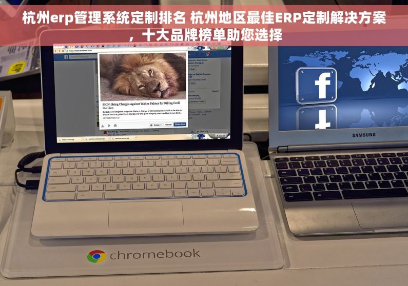杭州erp管理系统定制排名 杭州地区最佳ERP定制解决方案，十大品牌榜单助您选择