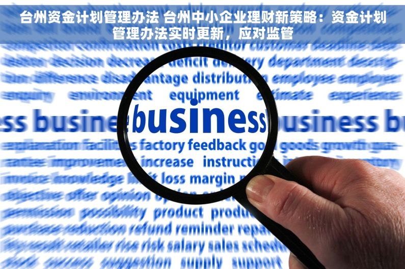 台州资金计划管理办法 台州中小企业理财新策略：资金计划管理办法实时更新，应对监管
