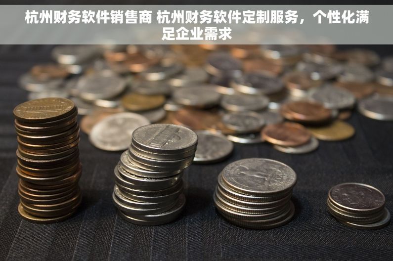 杭州财务软件销售商 杭州财务软件定制服务，个性化满足企业需求