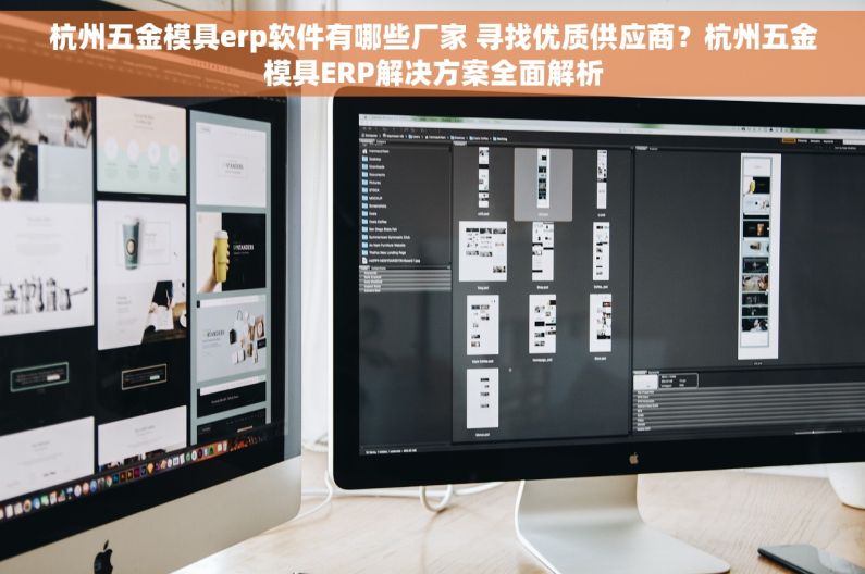 杭州五金模具erp软件有哪些厂家 寻找优质供应商？杭州五金模具ERP解决方案全面解析