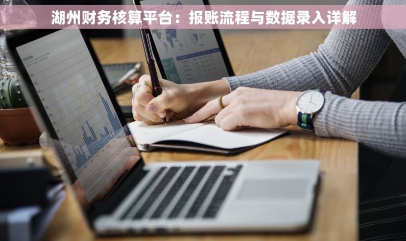 湖州财务核算平台：报账流程与数据录入详解