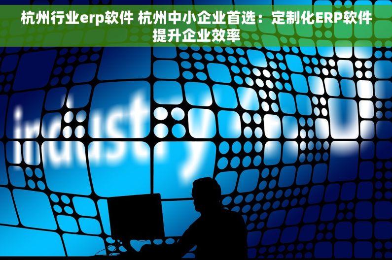 杭州行业erp软件 杭州中小企业首选：定制化ERP软件提升企业效率