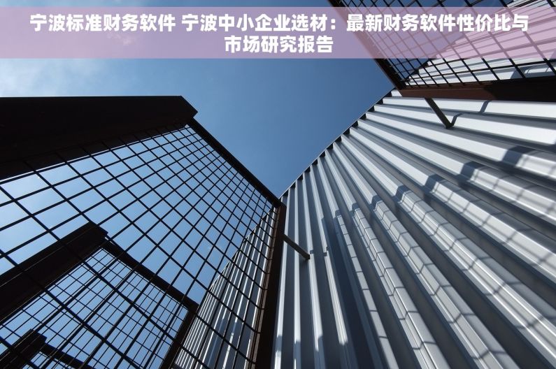宁波标准财务软件 宁波中小企业选材：最新财务软件性价比与市场研究报告