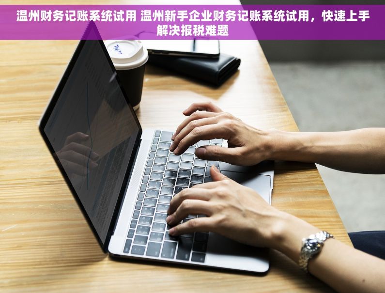 温州财务记账系统试用 温州新手企业财务记账系统试用，快速上手解决报税难题