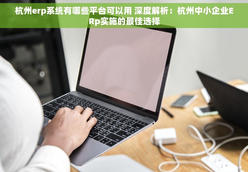 杭州erp系统有哪些平台可以用 深度解析：杭州中小企业ERp实施的最佳选择
