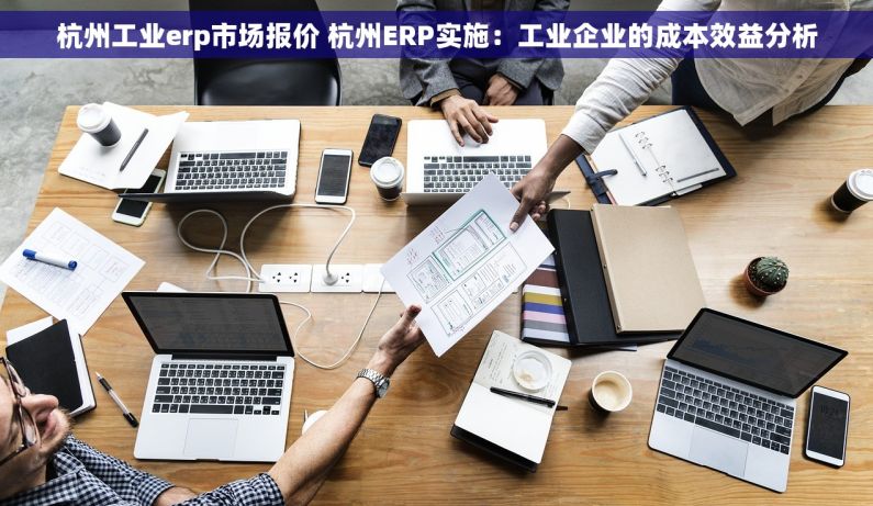 杭州工业erp市场报价 杭州ERP实施：工业企业的成本效益分析