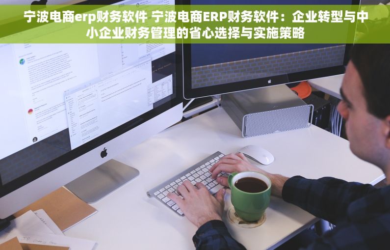 宁波电商erp财务软件 宁波电商ERP财务软件：企业转型与中小企业财务管理的省心选择与实施策略
