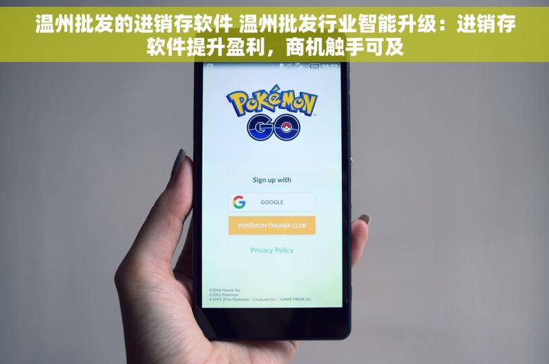 温州批发的进销存软件 温州批发行业智能升级：进销存软件提升盈利，商机触手可及