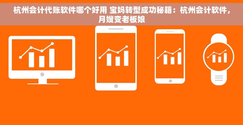 杭州会计代账软件哪个好用 宝妈转型成功秘籍：杭州会计软件，月嫂变老板娘