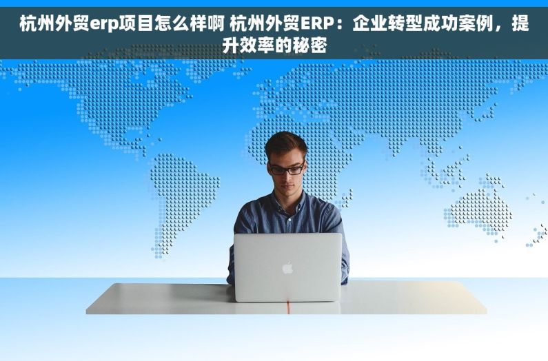 杭州外贸erp项目怎么样啊 杭州外贸ERP：企业转型成功案例，提升效率的秘密