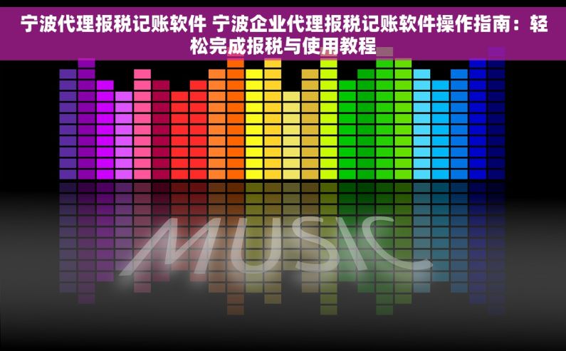 宁波代理报税记账软件 宁波企业代理报税记账软件操作指南：轻松完成报税与使用教程