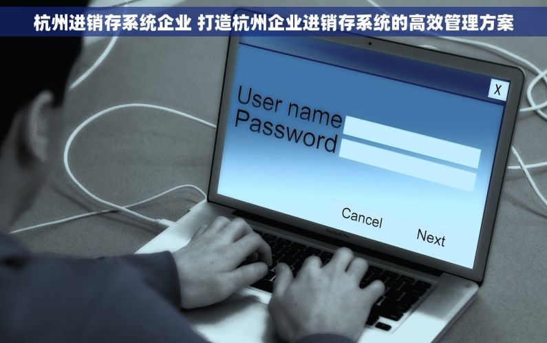 杭州进销存系统企业 打造杭州企业进销存系统的高效管理方案
