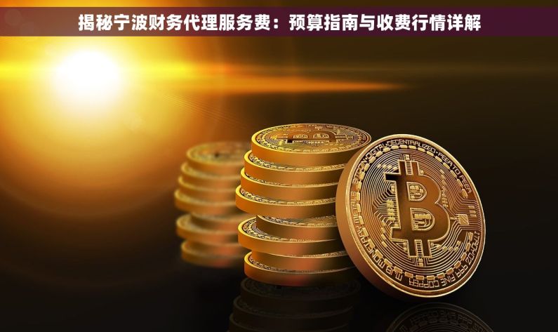 揭秘宁波财务代理服务费：预算指南与收费行情详解