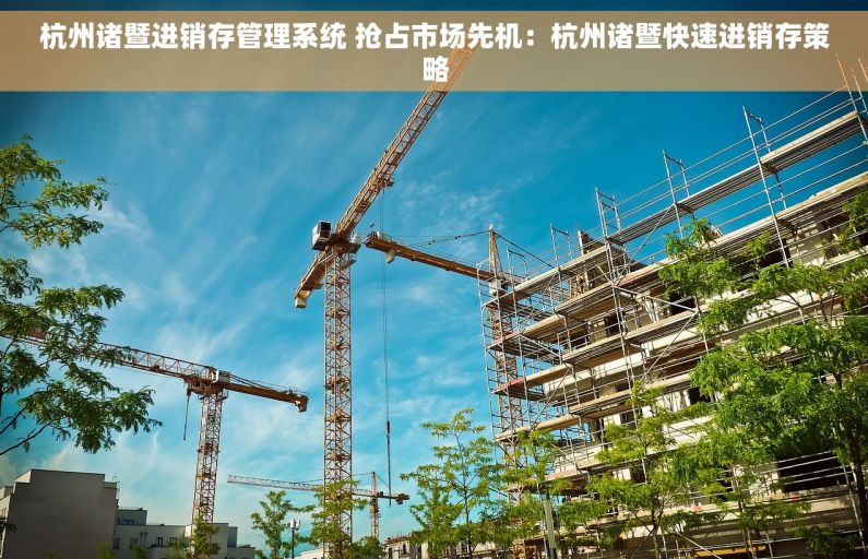 杭州诸暨进销存管理系统 抢占市场先机：杭州诸暨快速进销存策略