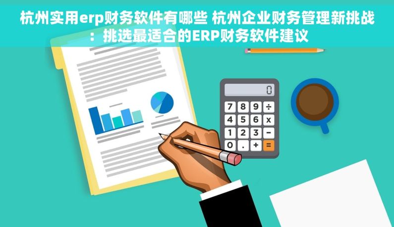 杭州实用erp财务软件有哪些 杭州企业财务管理新挑战：挑选最适合的ERP财务软件建议